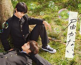 网站优化哪个牌子好用啊